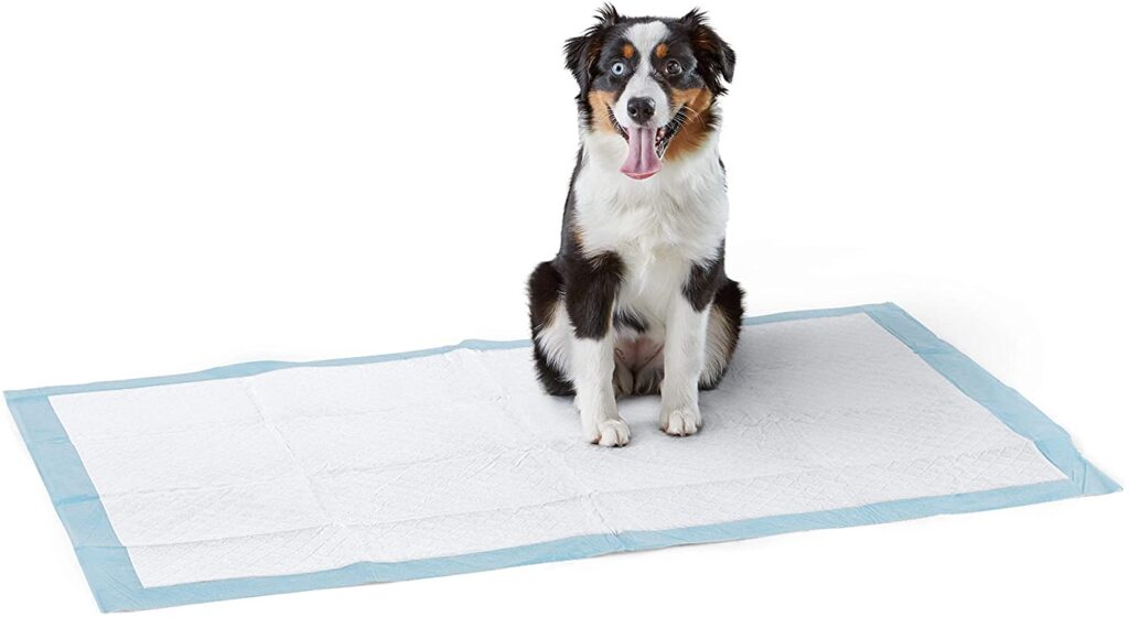 Amazon Basics Dog and Puppy Pads